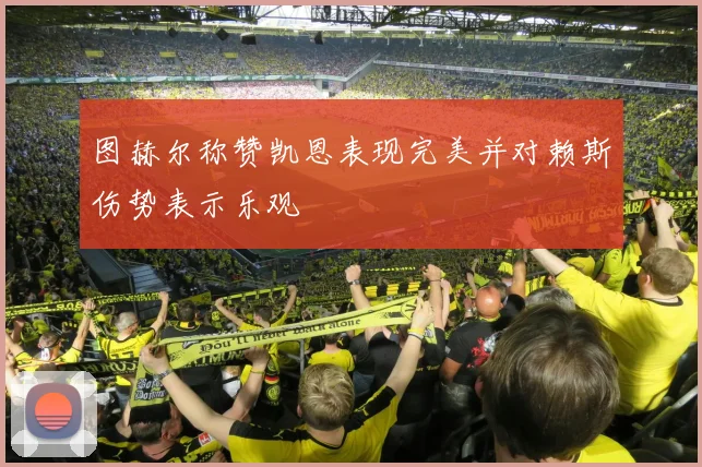 图赫尔称赞凯恩表现完美并对赖斯伤势表示乐观